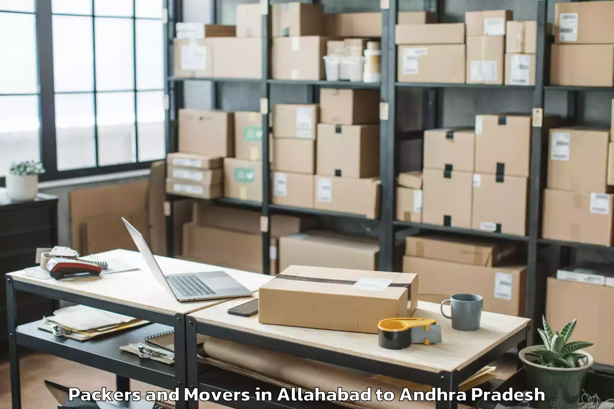 Professional Allahabad to Nakkapallin Packers And Movers